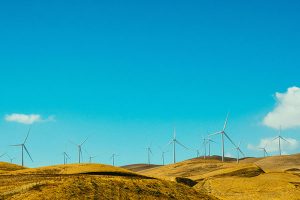 Basic Information Of The Tower Industry