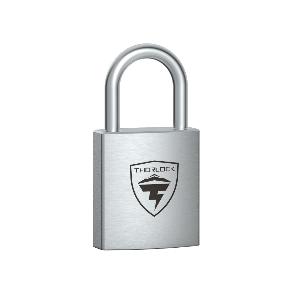 Programmed Locks Programmed Key Padlock TL003 - Intelligent Industrial Lock, Easy ...